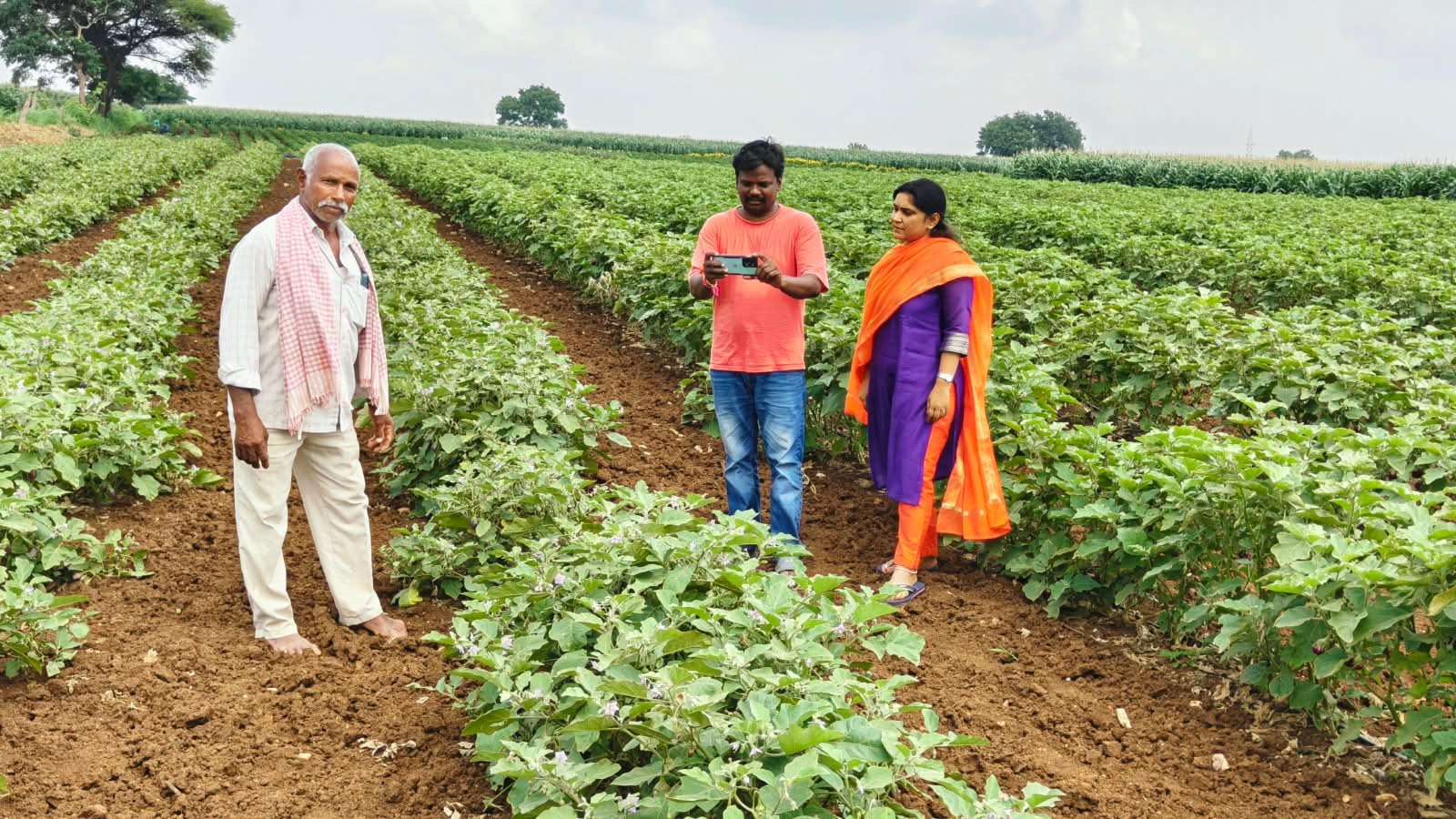 గుమ్మడిదల మండల రైతులకు ముఖ్య గమనిక