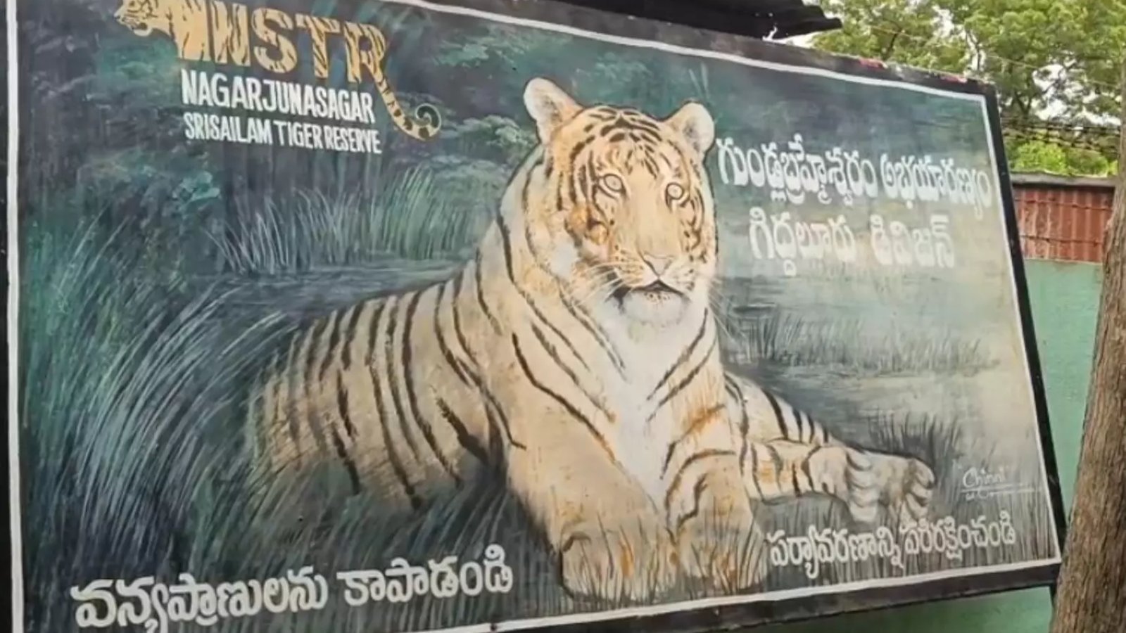 అటవీ ప్రాంతంలో అనుమానాస్పదంగా పులిపిల్ల మృతి