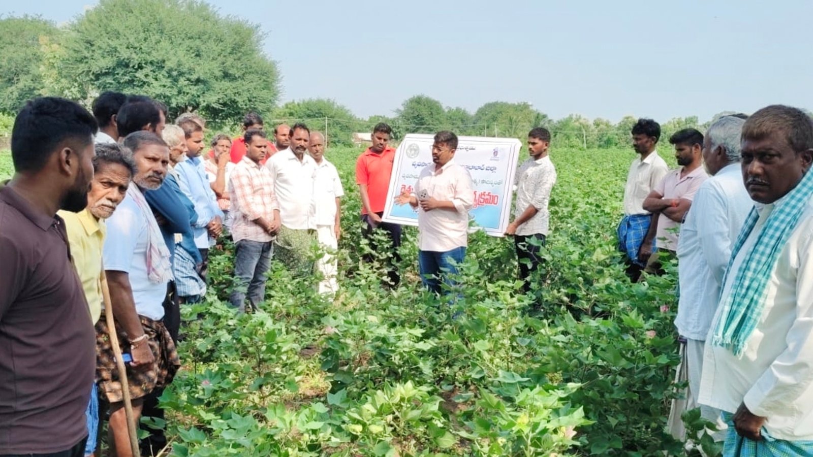వరి, పత్తి పంటలపై రైతులకు అవగాహన