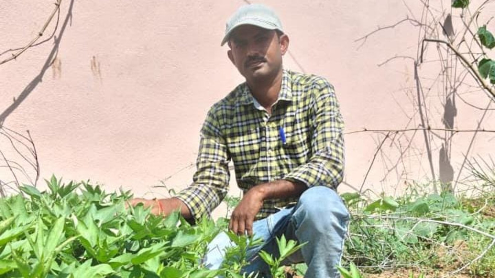 రాజాపేట: దూది వెంకటాపూర్‌ బడిలో కిచెన్‌ గార్డెన్‌