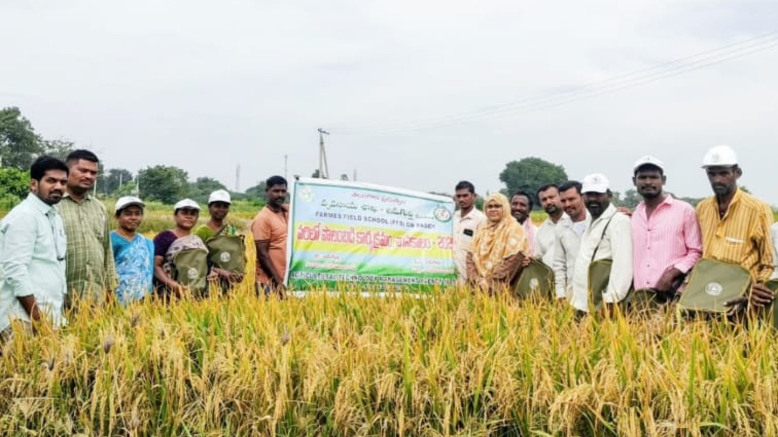 ఆధునిక సాగు పద్ధతులపై అవగాహన