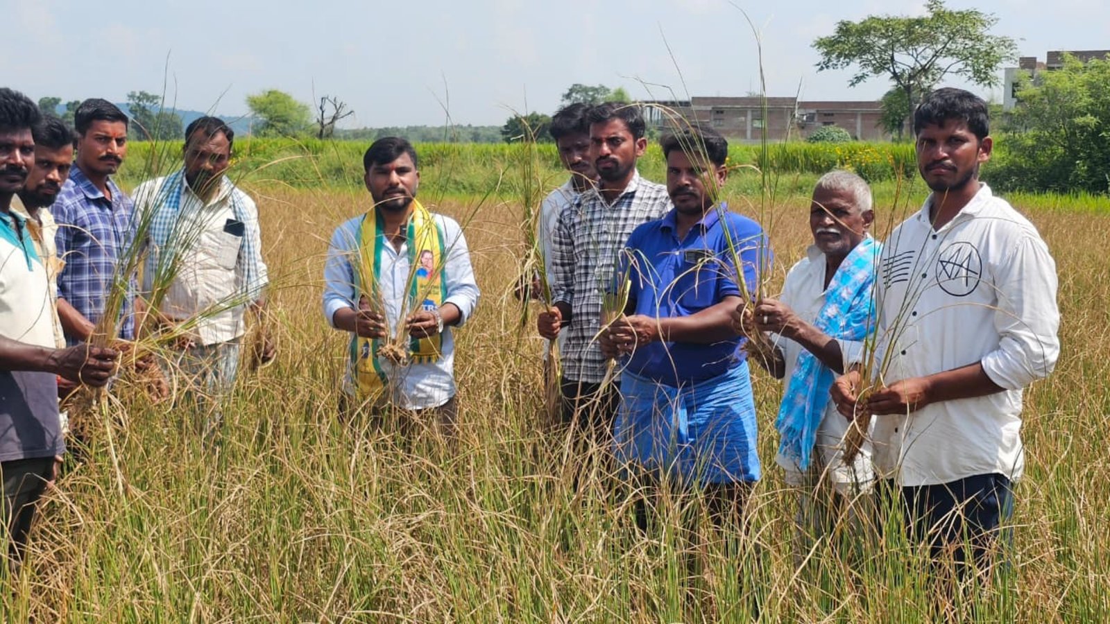 పంటనష్టంపై సర్వే చేయాలి.. రైతులకు పరిహారమివ్వాలి