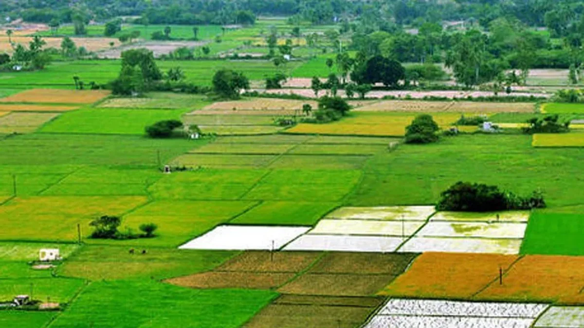 163119-76388993-agricultural-farm-lands-india
