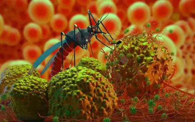 Zika_V_jpg–442×260-4g