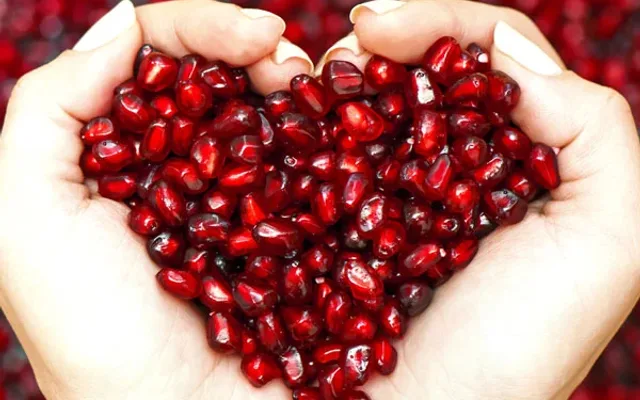 xpomegranateseedoil-1522474566-jpg-pagespeed-ic-7r0s2kn7y8-1522644775