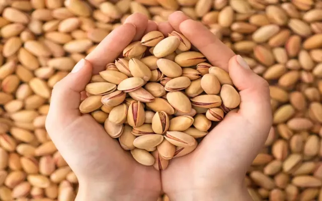 pistachio