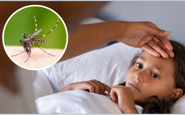 dengue-fever4