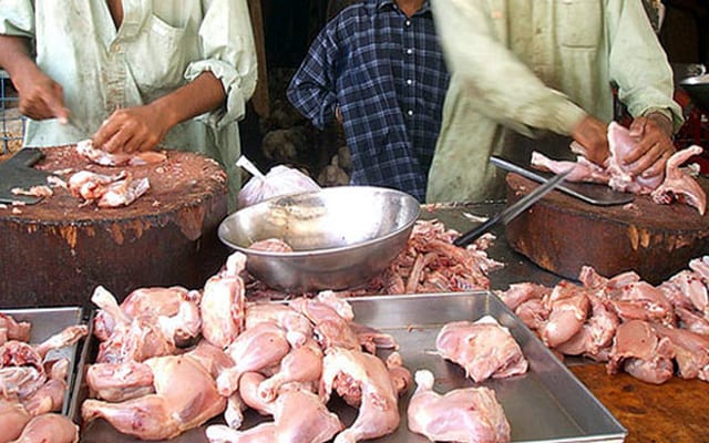 chicken