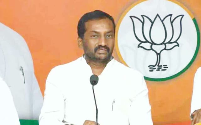 Raghunandan_Rao_9e88345bc4