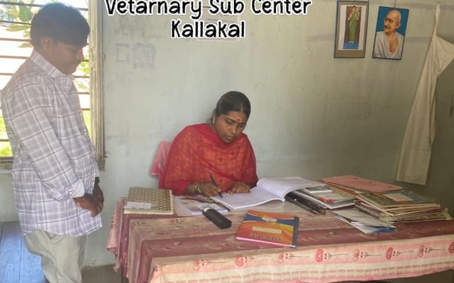 WhatsApp Image 2025-10-07 at 7.46.53 PM