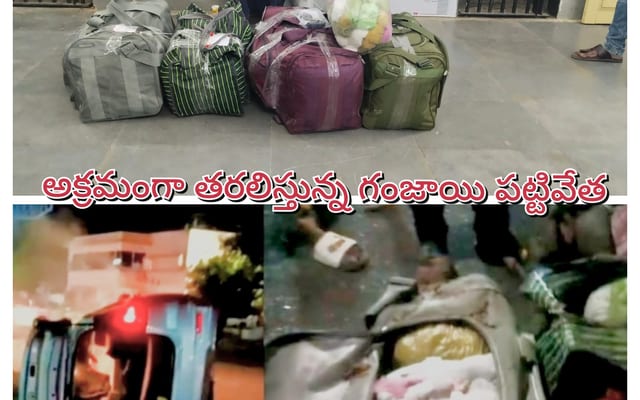 WhatsApp Image 2025-10-24 at 12.10.47 PM