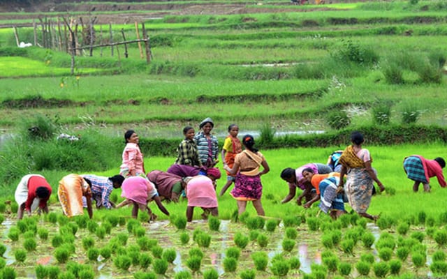 women-farmers