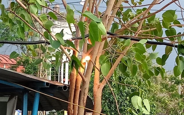 WhatsApp Image 2026-04-19 at 8.30.04 PM